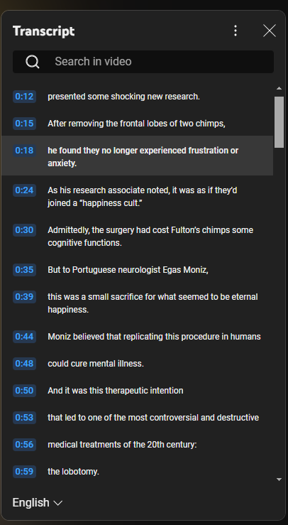 YouTube transcript window